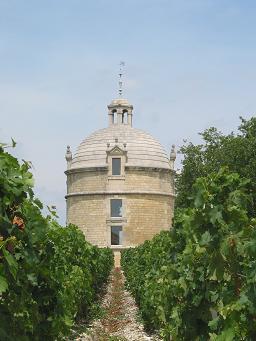 chateau and vineyard